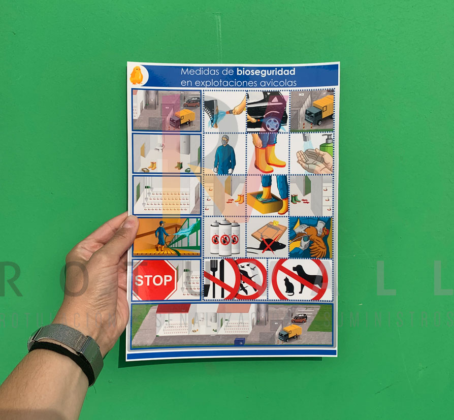 Cartel Medidas de Bioseguridad en Explotaciones Avícolas ejemplo real vinilo adhesivo